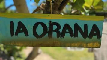 Imagen general