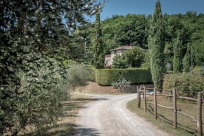Uma estrada rural que leva a uma casa de pedra rodeada por vegetação.