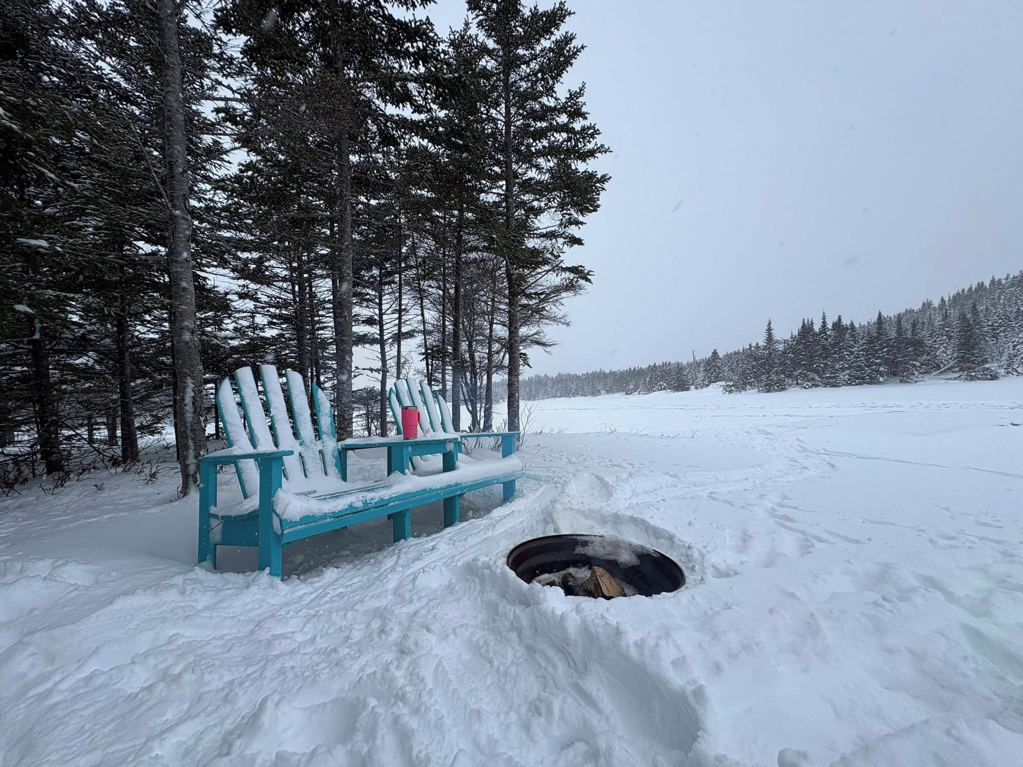 A bench in a snowy forest with a fire pit in the foreground.
