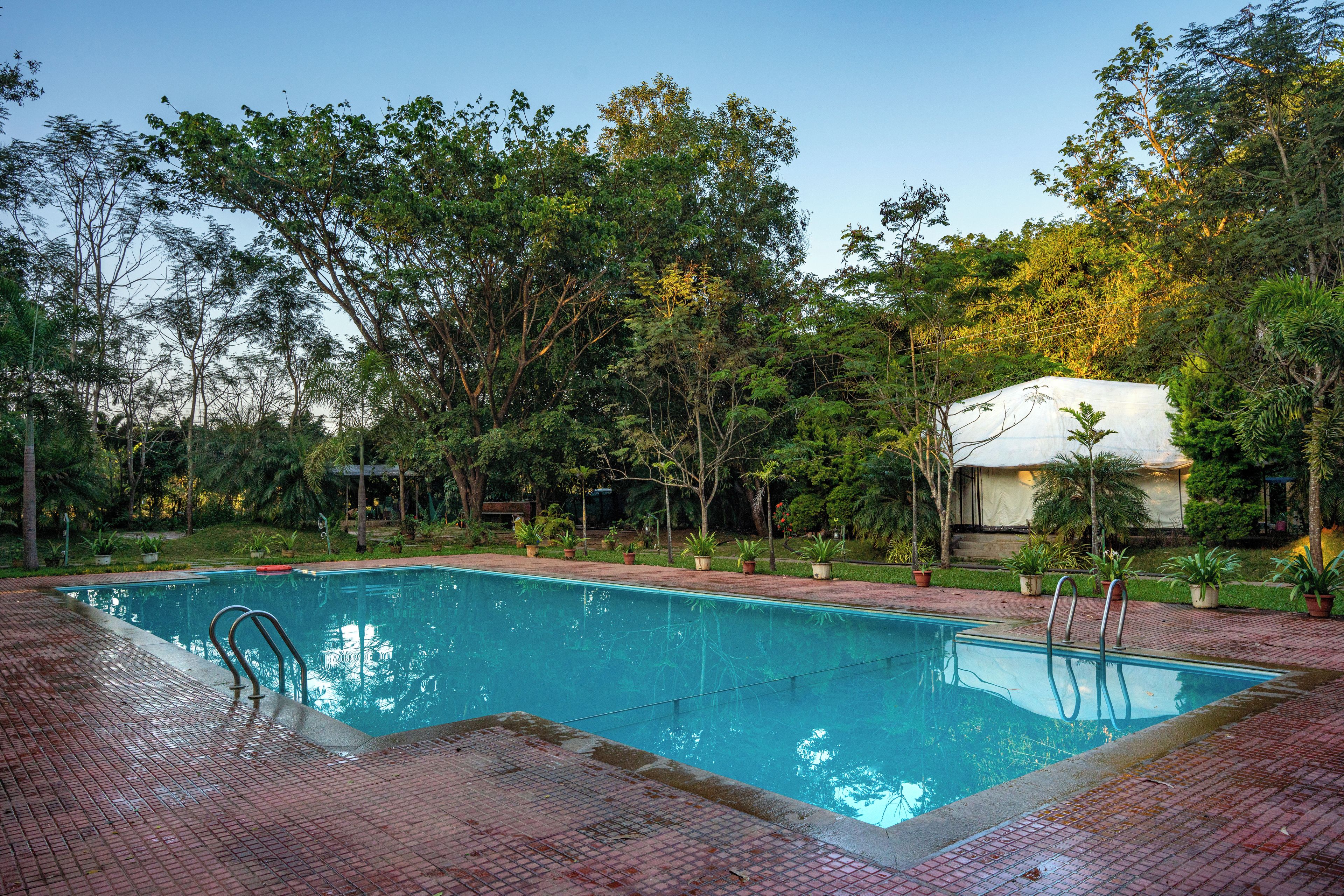 Una piscina rectangular con solárium de baldosas, rodeada de vegetación exuberante y árboles.