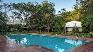 Una piscina rectangular con solárium de baldosas, rodeada de vegetación exuberante y árboles.