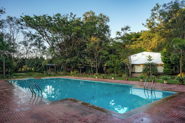 A rectangular swimming pool with a tiled deck, surrounded by lush greenery and trees.
