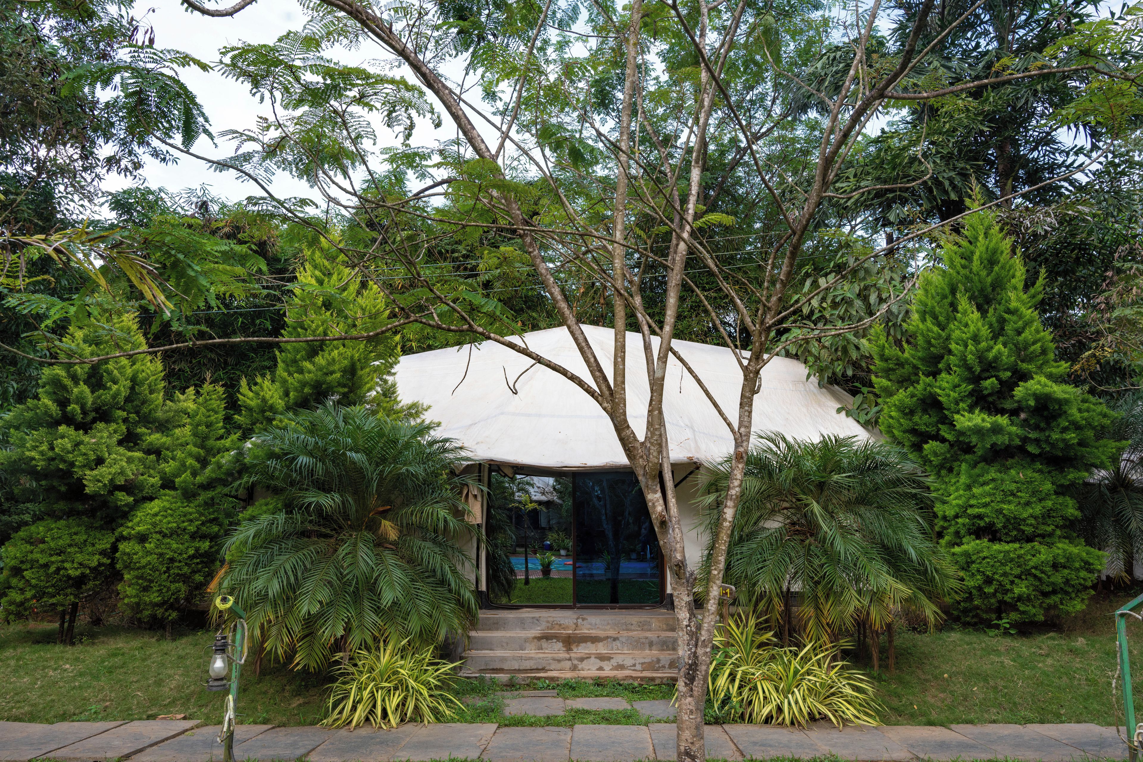 A covered outdoor seating area with steps leading up to it, surrounded by lush greenery.