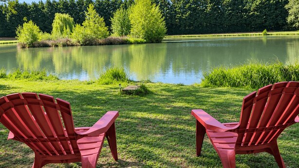 Property grounds - Chalet tout confort au bord de l’étang – Aux portes de la Sologne (Lion-en-Sullias)