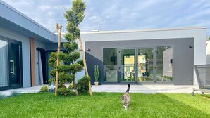 Een modern gebouw met een glazen ingang, een verzorgd gazon en een kat die over het gras loopt.