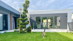 A modern building with a glass entrance, a well-maintained lawn, and a cat walking on the grass. - Bed& Breakfast Florida 7 - camera 1 (Pertegada)
