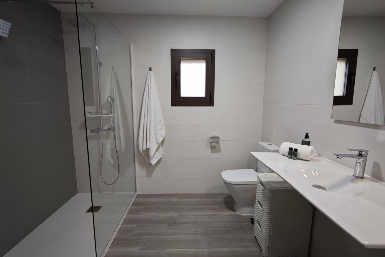A modern bathroom with a glass shower enclosure, a white toilet, and a sink with a mirror above it.
