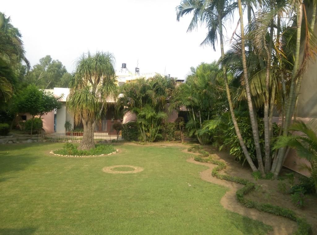 A well-maintained garden with a circular lawn area, palm trees, and a building in the background.