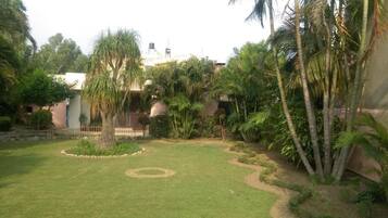 A well-maintained garden with a circular lawn area, palm trees, and a building in the background.