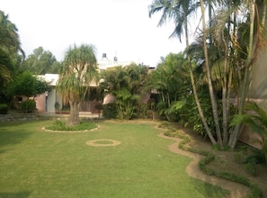 Un jardín bien cuidado con un césped circular, palmeras y un edificio al fondo.