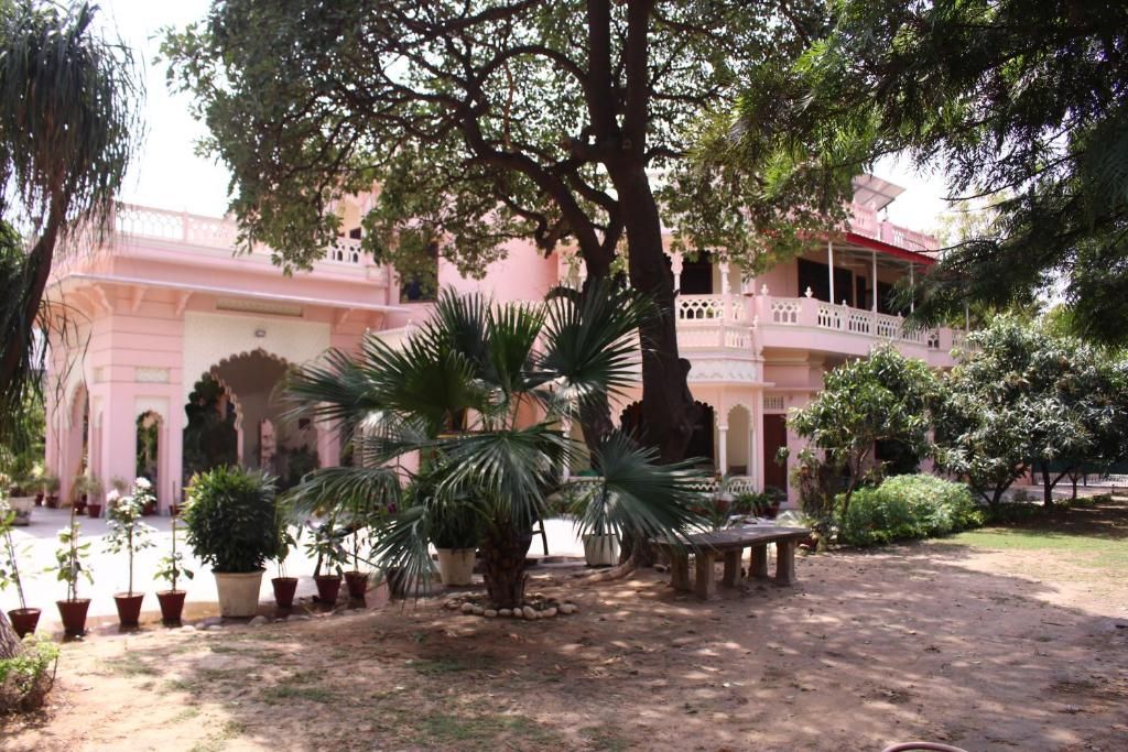 A courtyard with a large tree, potted plants, and a bench.