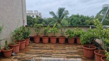 A rooftop with terracotta planters arranged in a semi-circle, a hose on the floor, and a view of buildings and trees in the background.
