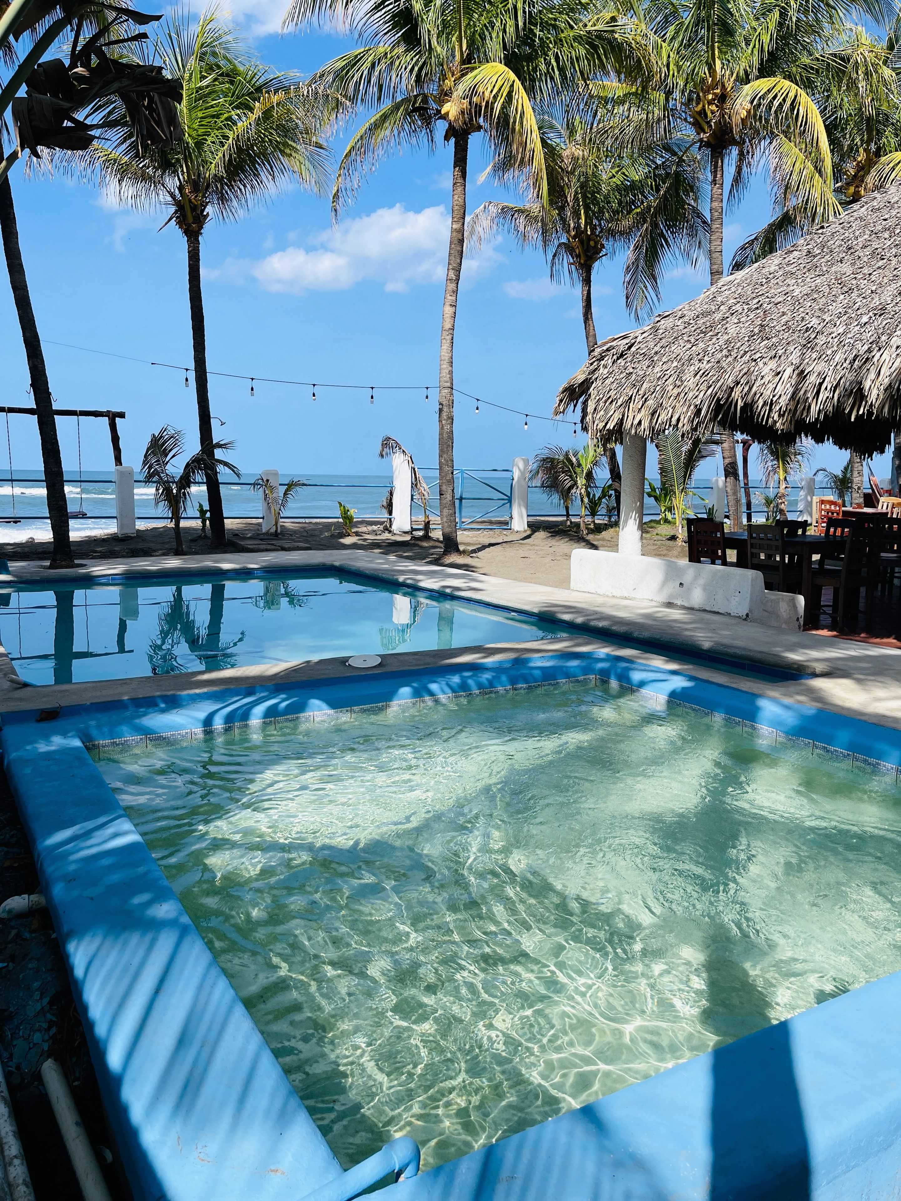 A swimming pool with clear water, surrounded by palm trees and a thatched-roof structure.