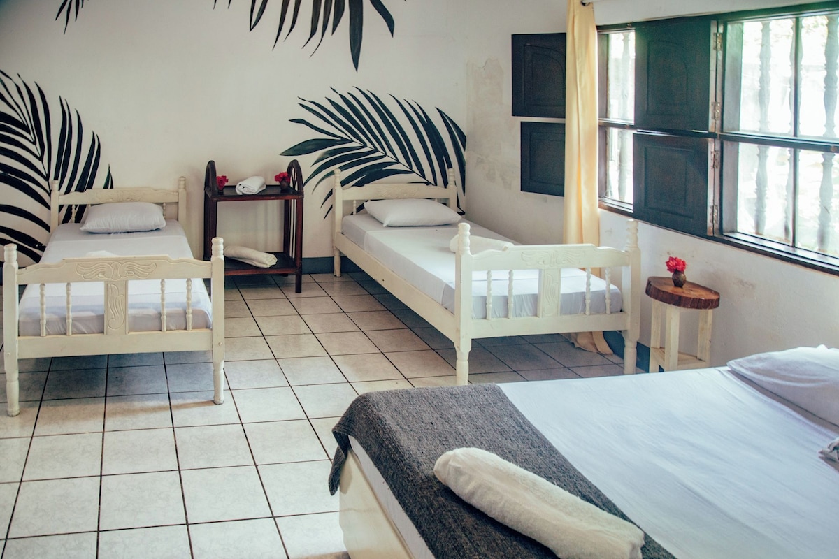A room with two single beds, a small table, a window with curtains, and a wall with a leaf pattern.