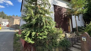 Un bâtiment blanc avec une porte marron et un grand arbre à feuilles persistantes devant.