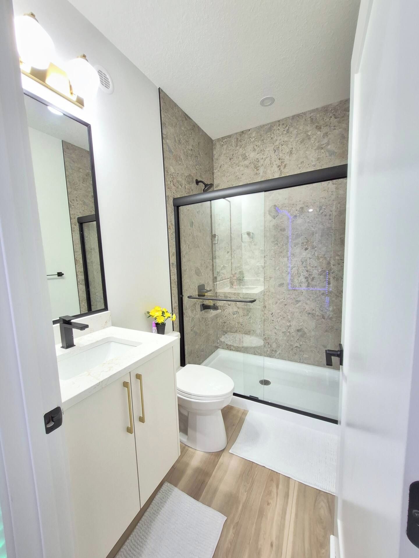 A modern bathroom with a glass shower enclosure, a white toilet, and a vanity with a mirror.