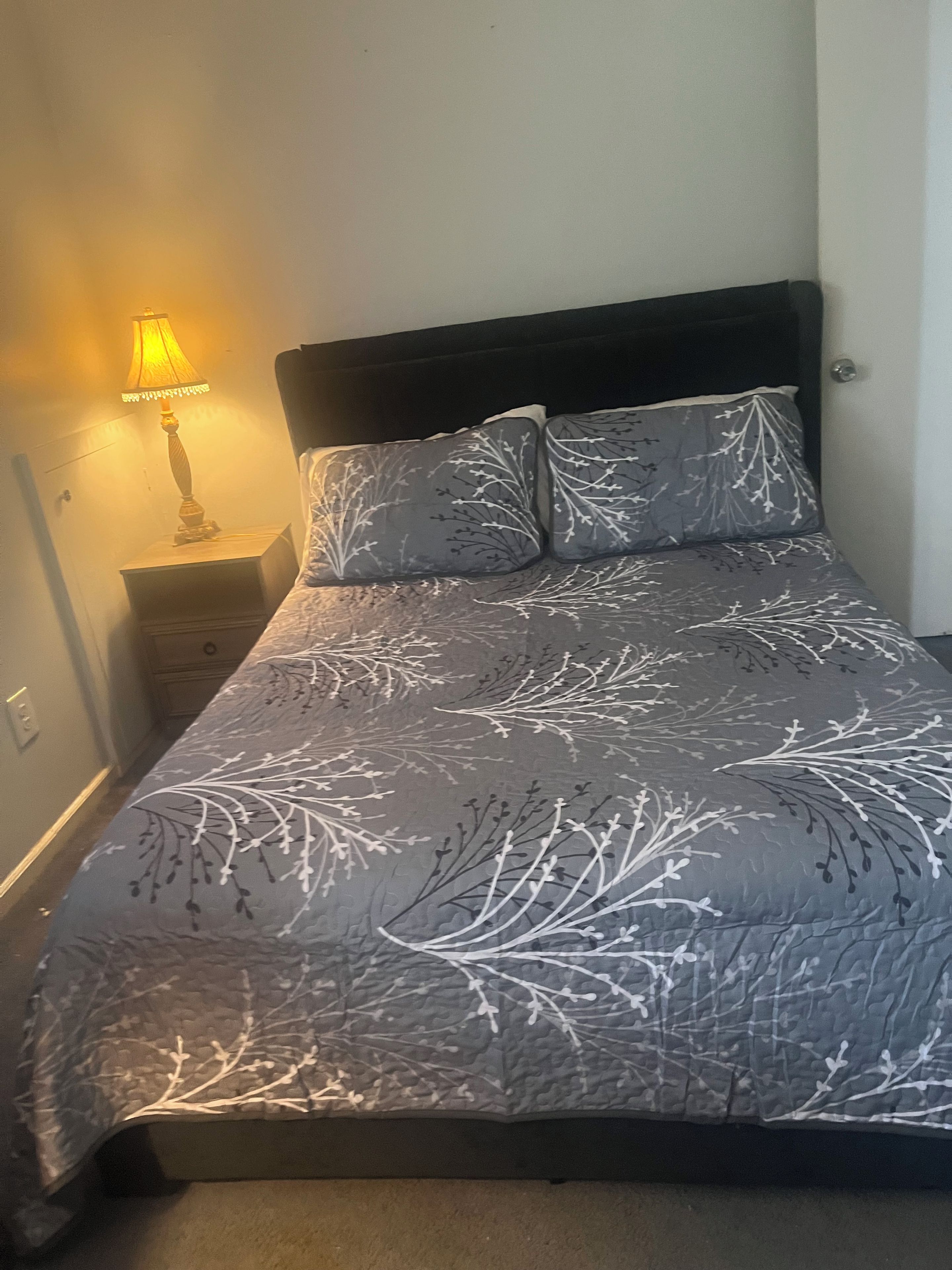 A bed with a patterned bedspread, a bedside lamp, and a dark headboard.