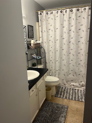A bathroom with a toilet, sink, and shower curtain. There is a shelf with toiletries and a small plant. - Clemson Game-Day Retreat - 4BR, Sleeps 8, 5 Min to Death Valley (Clemson)