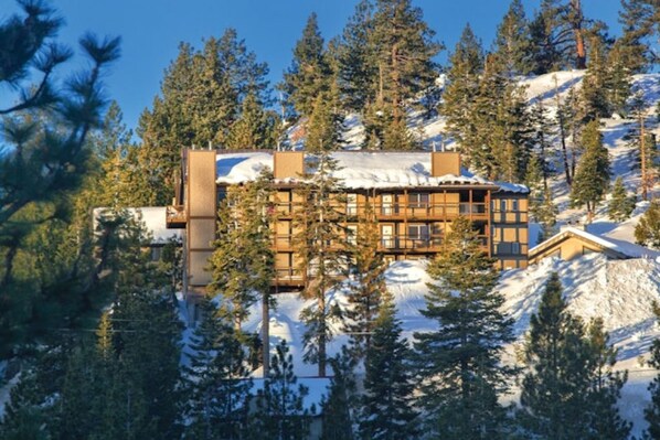 Un chalet au revêtement extérieur en bois, entouré de montagnes enneigées et de pins.
