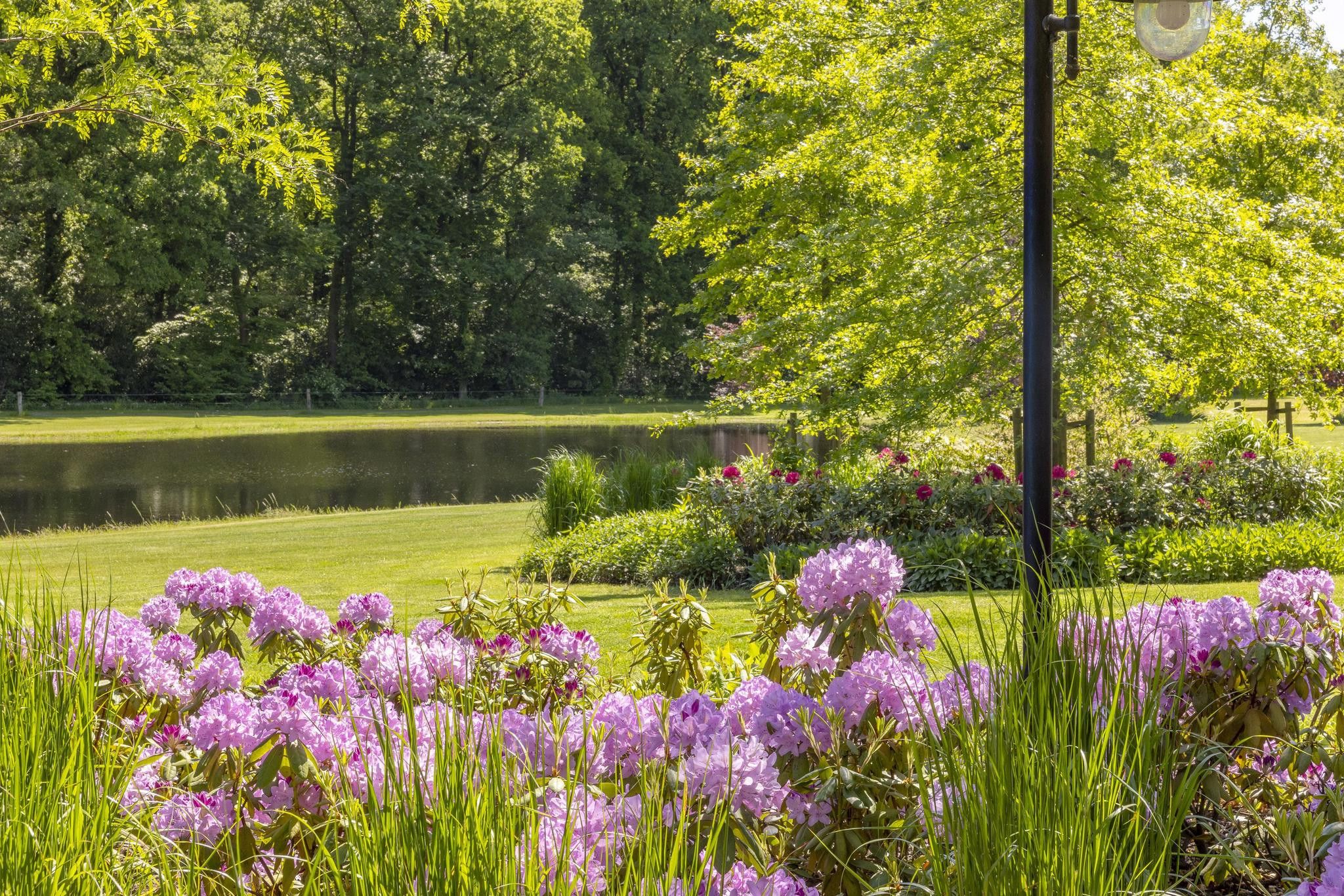 Een rustig park met een vijver, weelderige begroeiing en levendige paarse bloemen.