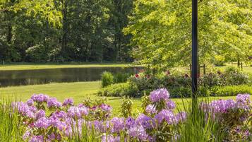 Un parc paisible avec un étang, une végétation luxuriante et de magnifiques fleurs violettes.