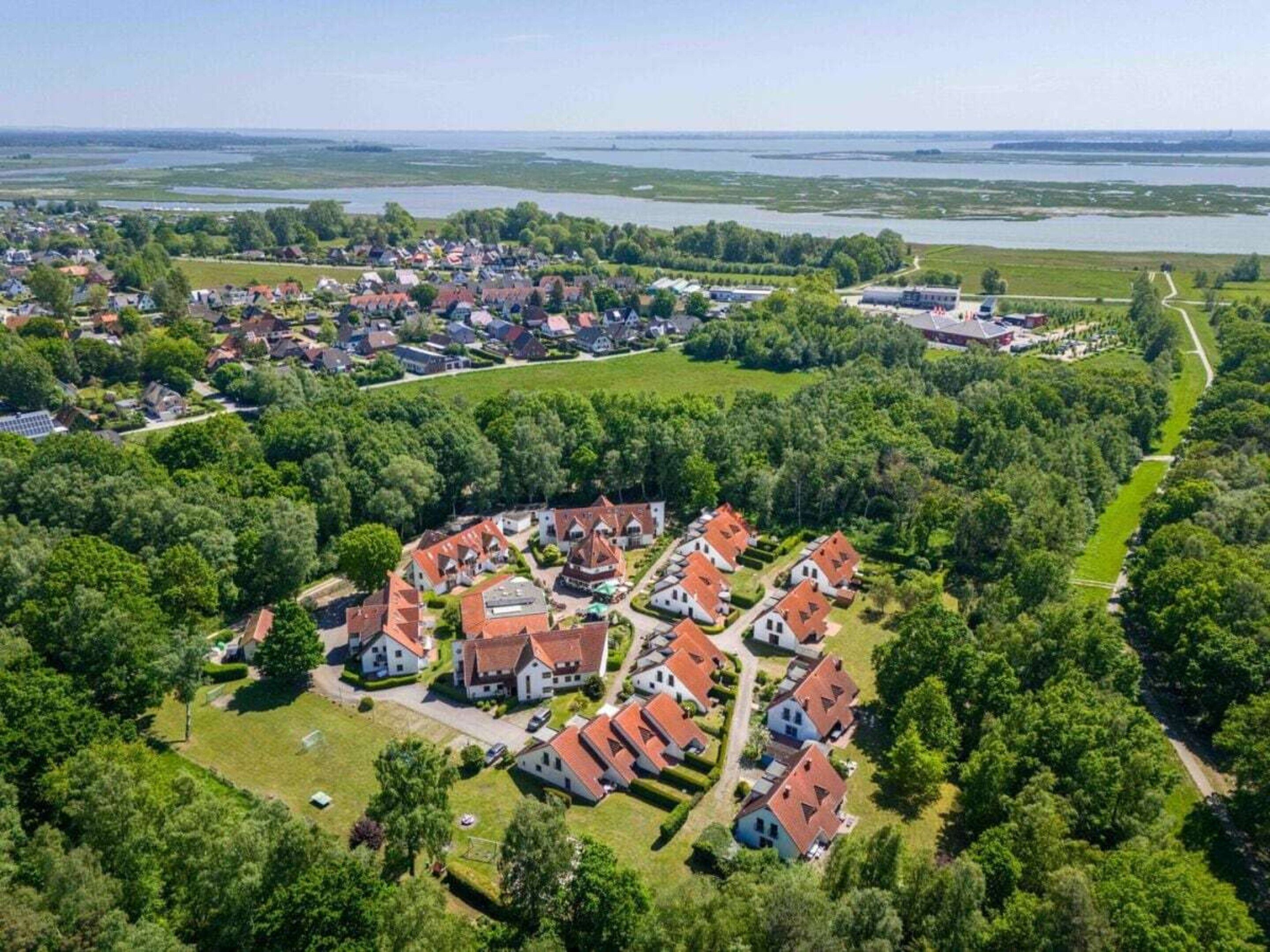 An aerial view of a residential area with houses, a large body of water, and a forested area.
