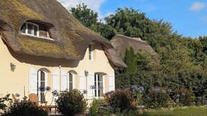 Exterior - Ravissant Cottage 7 Chambres au cœur de la Bretagne Romantique - 300 m² (Epiniac)