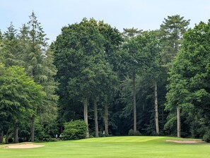 A golf course with a well-maintained green, sand bunkers, and tall trees in the background.
