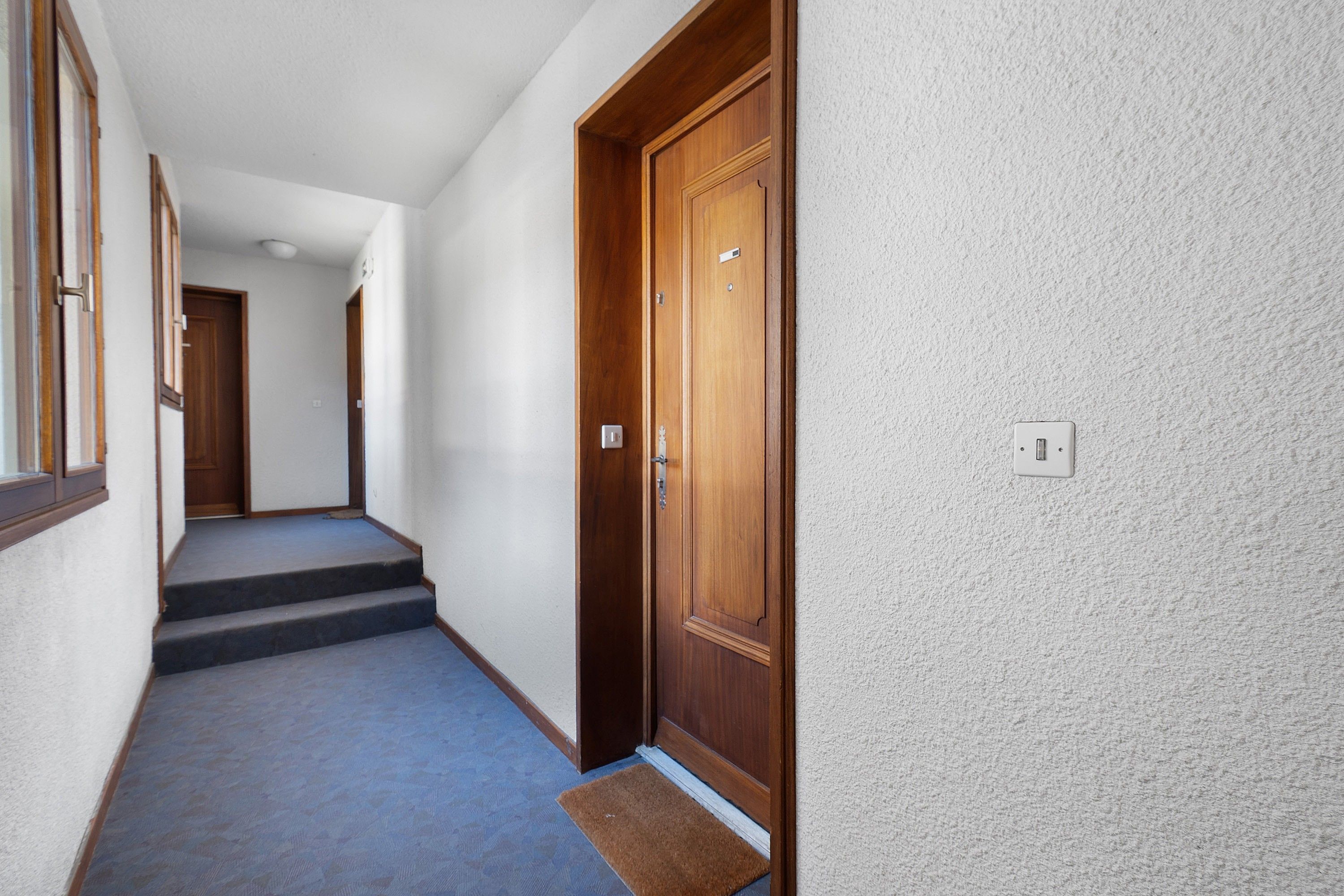 Un couloir avec une porte en bois, un sol recouvert de moquette et un petit tapis à l’entrée.