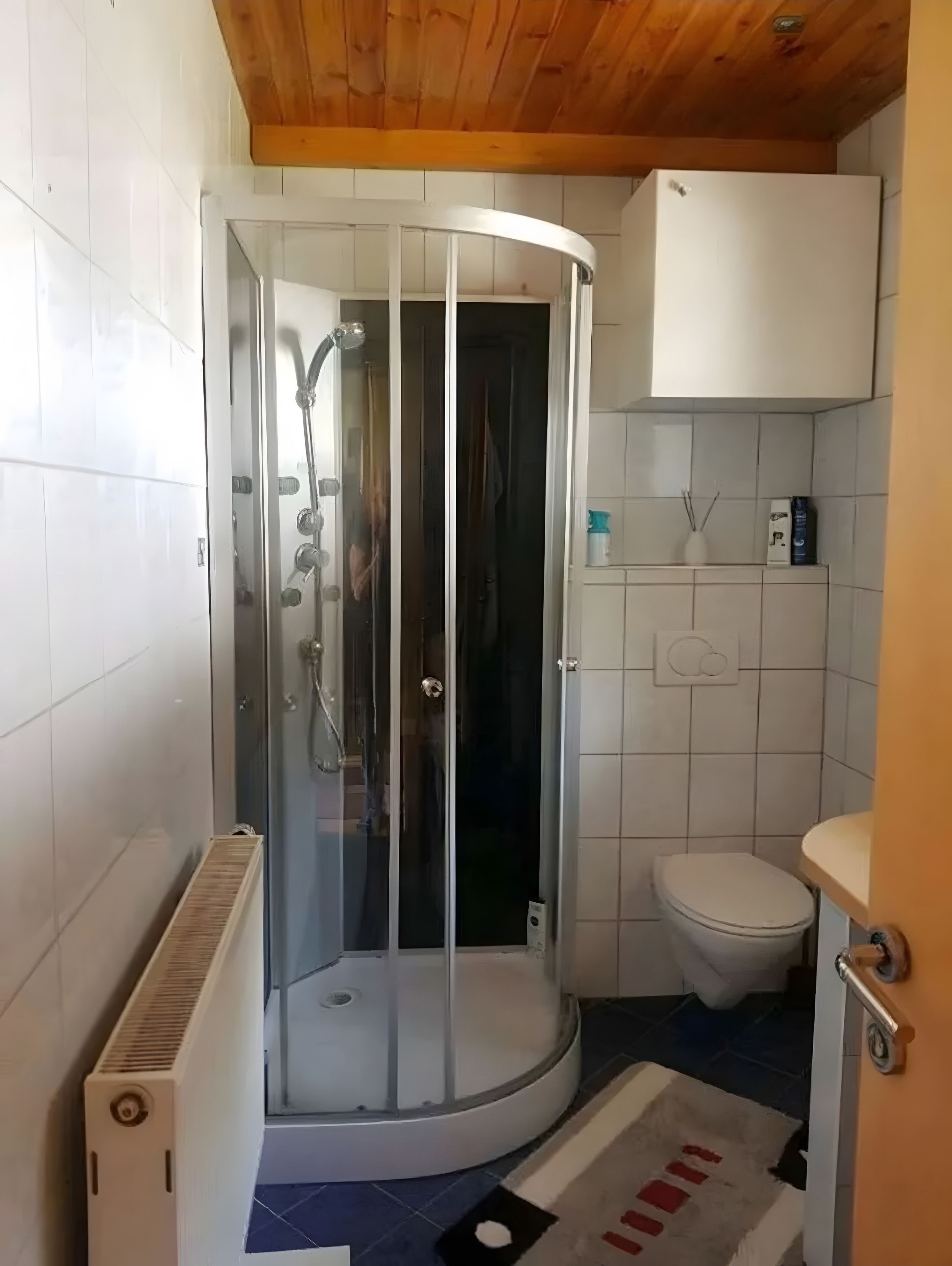 A bathroom with a glass-enclosed shower, a toilet, and a white cabinet.