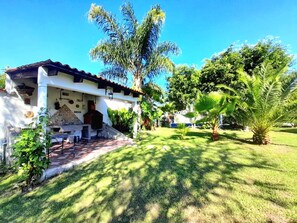 A house with a patio area, a barbecue grill, and a well-maintained lawn with palm trees.