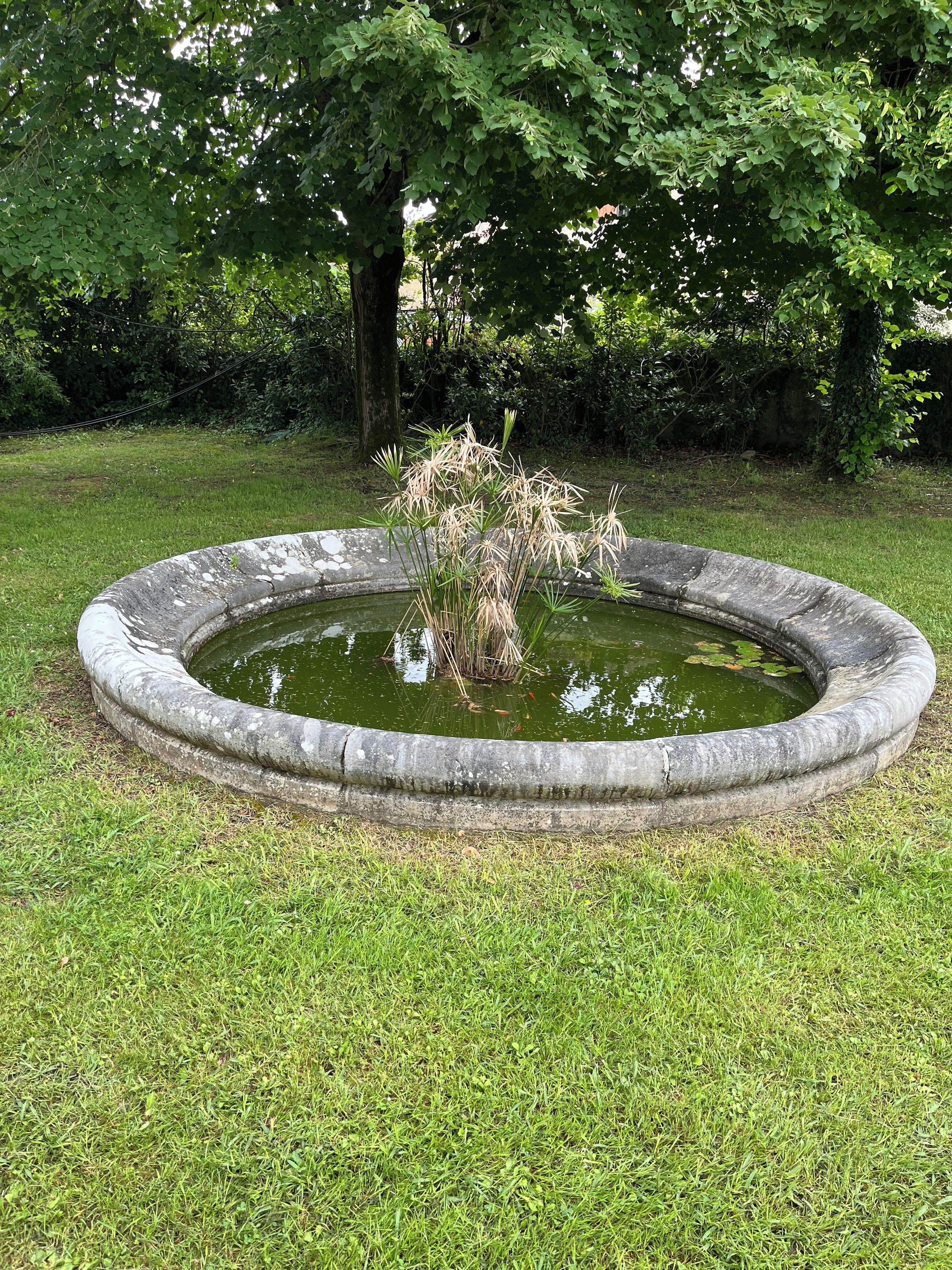 Ein kreisrunder Steinteich mit Wasserpflanzen, umgeben von einer Rasenfläche und Bäumen.