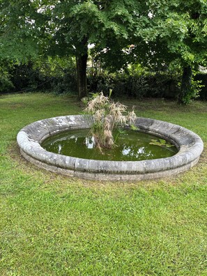 Een ronde stenen vijver met waterplanten, omringd door een gazon en bomen.