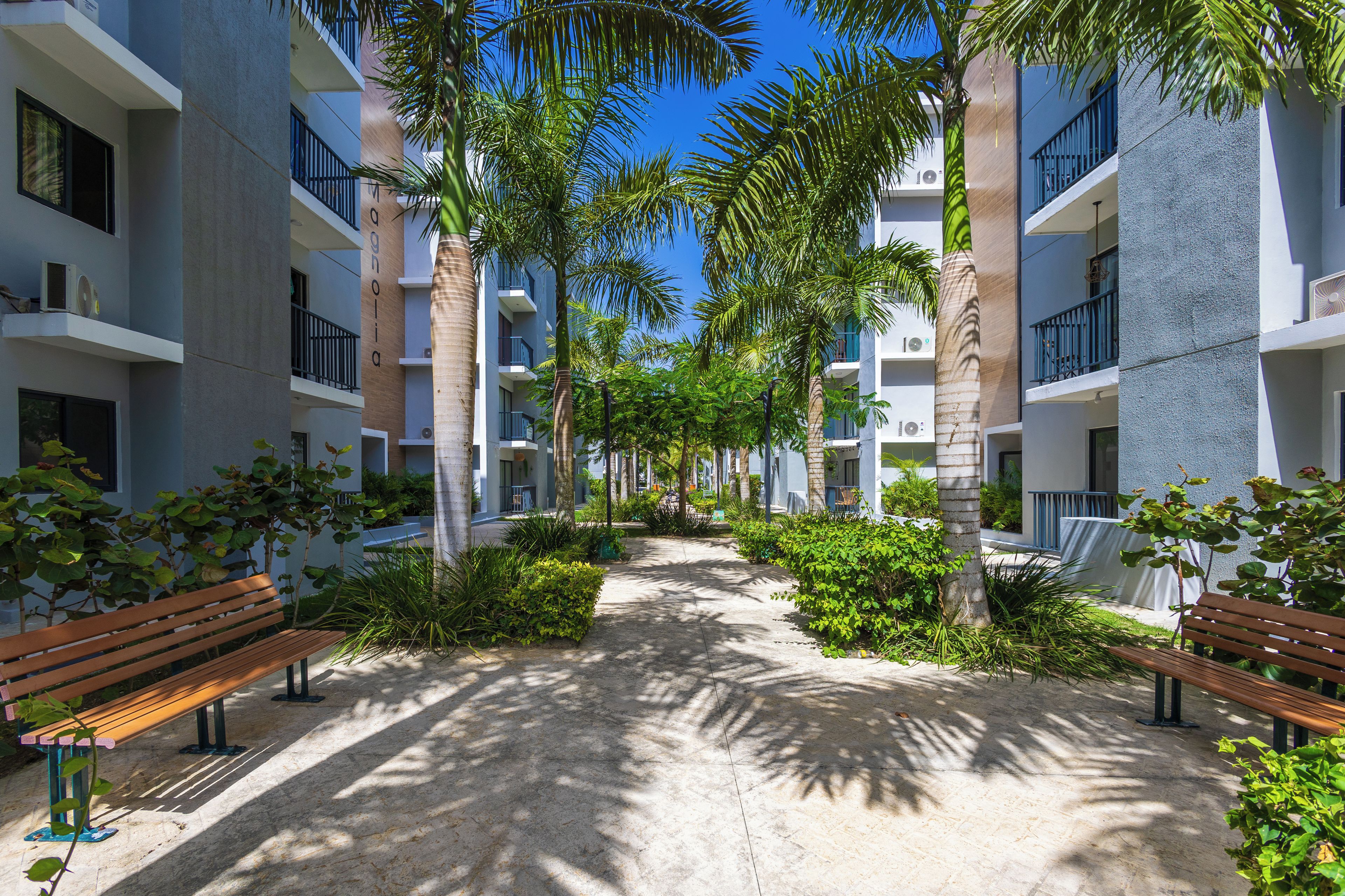 A pathway flanked by benches and palm trees leading to a building with balconies.
