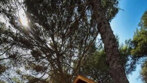 Immagine non classificata, 2 di 33, pulsante