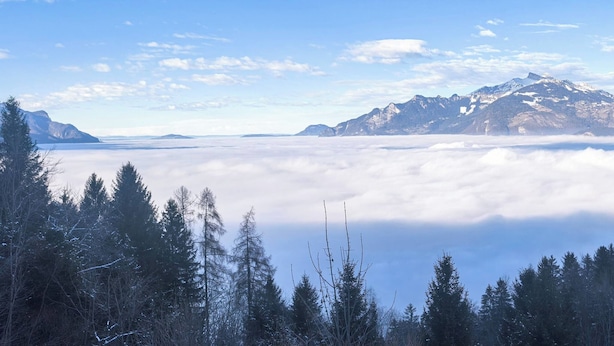 Eine Berglandschaft mit bewaldetem Vordergrund und Blick auf schneebedeckte Gipfel in der Ferne.
