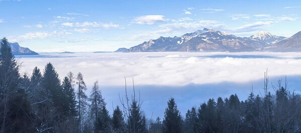 A mountainous landscape with a forested foreground and a view of snow-capped peaks in the distance. - Chalet L'appel Giettes (Monthey)
