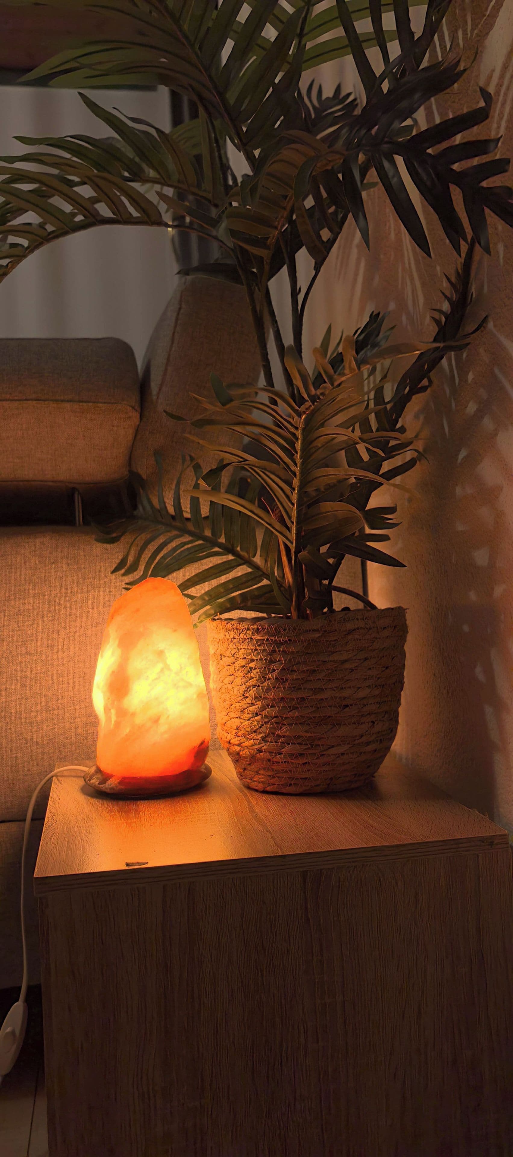 A salt lamp and a potted plant on a wooden nightstand.