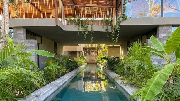 En pool med klart vand, omgivet af frodige tropiske planter, og en moderne bygning med balkon.