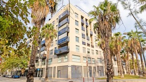 Un edificio residenziale a più piani con balconi, circondato da palme e un cielo sereno.