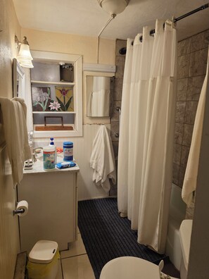 A bathroom with a shower, toilet, sink, and a mirror above the sink. - Private, peaceful home near VT, AT, fishing, rafting and spectacular waterfalls (Narrows)