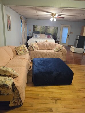A room with a bed, two sofas, a ceiling fan, and a television. - Private, peaceful home near VT, AT, fishing, rafting and spectacular waterfalls (Narrows)
