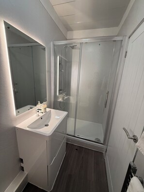 Un baño moderno con ducha envuelta en vidrio, un lavabo blanco y un espejo sobre él.