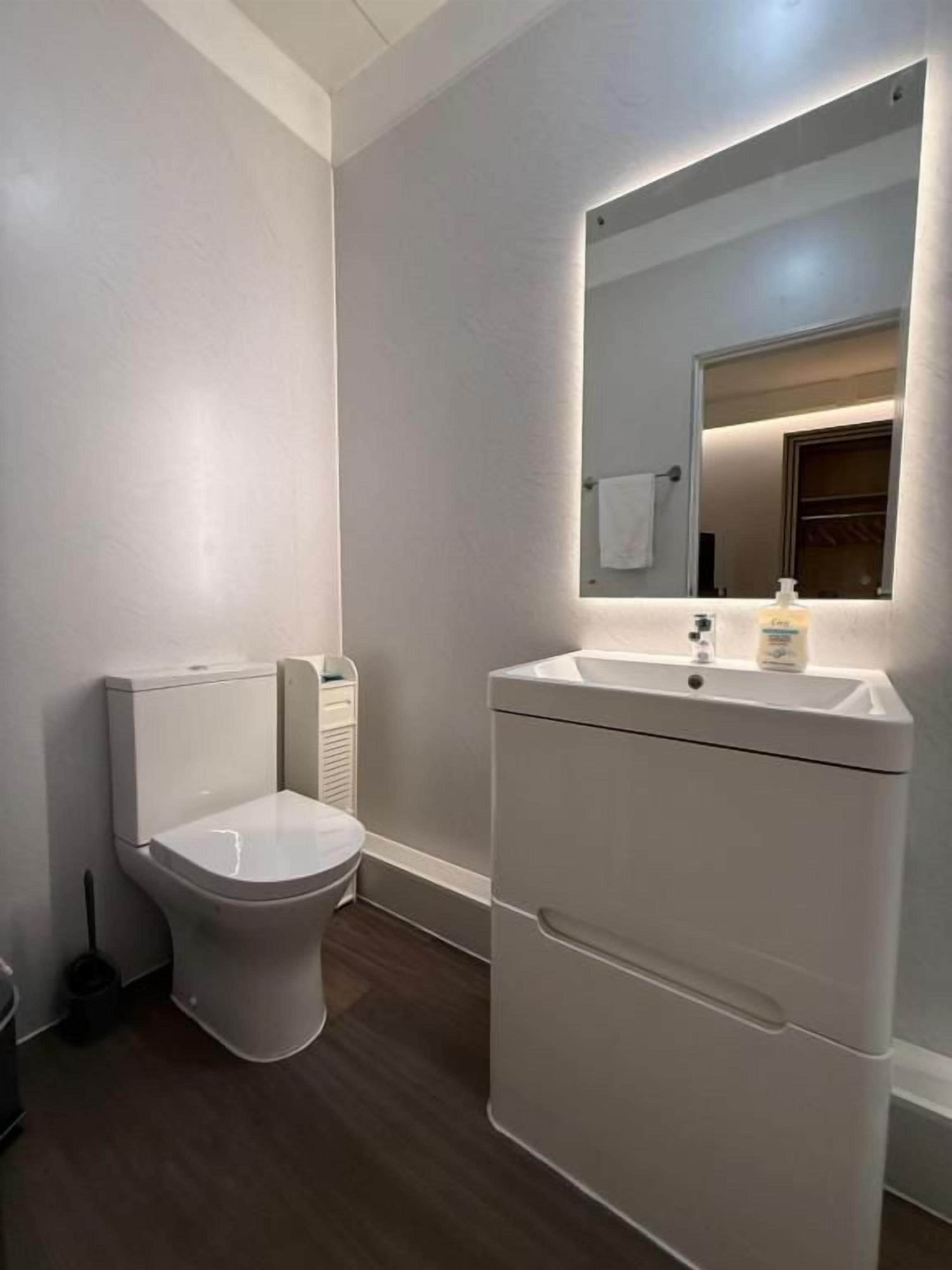 A bathroom with a toilet, a sink, and a mirror.