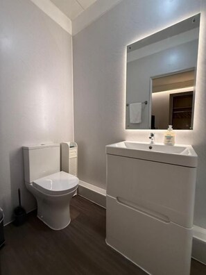 A bathroom with a toilet, a sink, and a mirror.