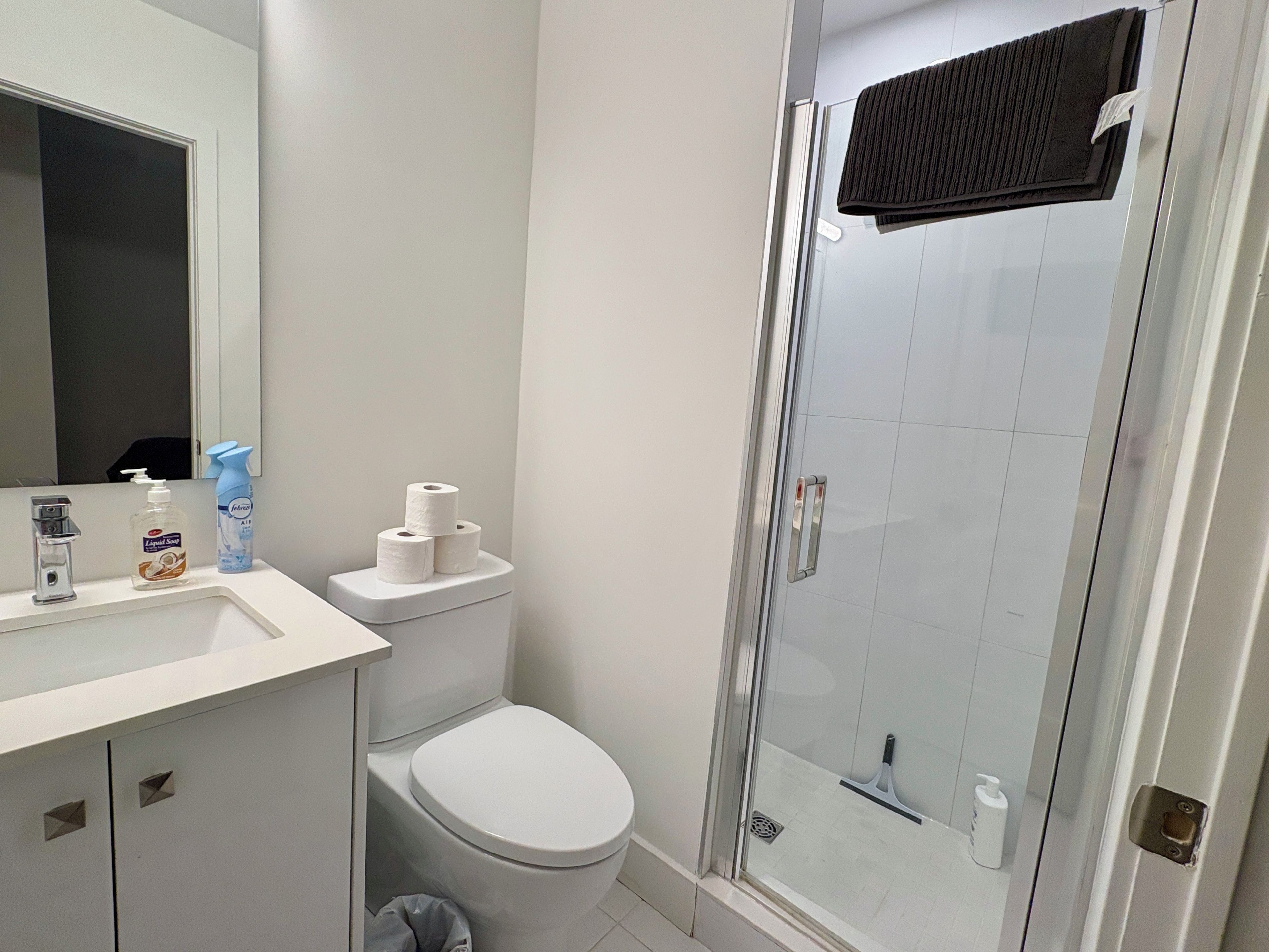A bathroom with a toilet, a sink with soap and a spray bottle, and a shower with a glass door.