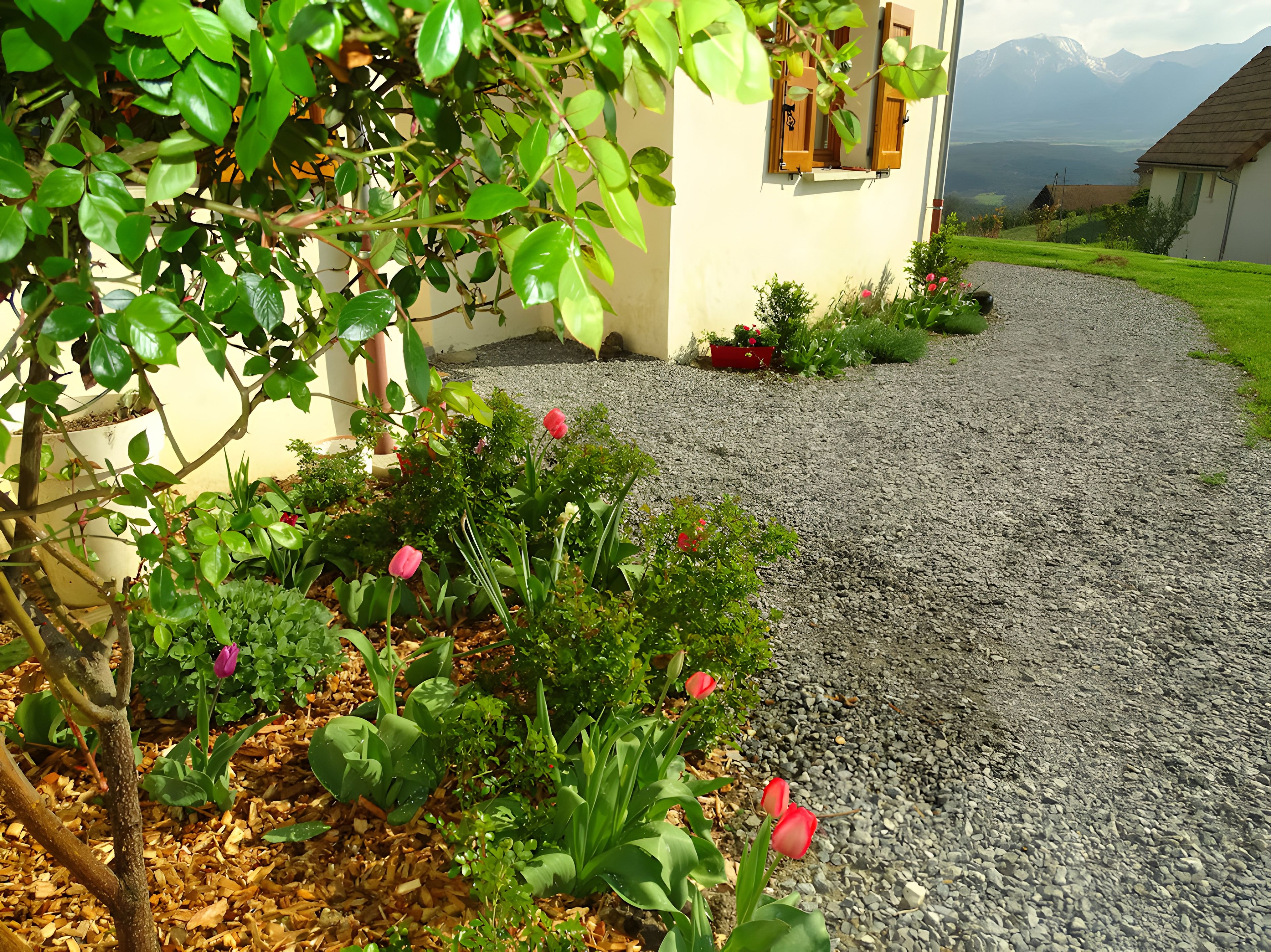 A gravel driveway leading to a house with a garden.