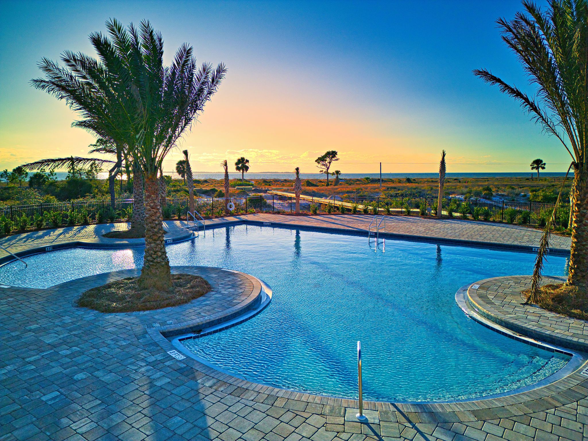 A swimming pool with a curved design, surrounded by palm trees and a paved walkway.