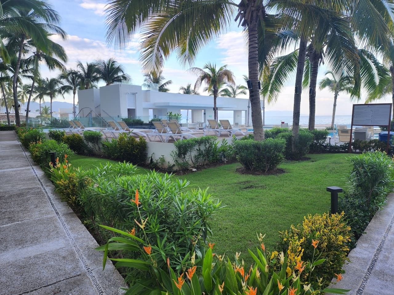 A resort pool area with palm trees, a grassy lawn, and lounge chairs.