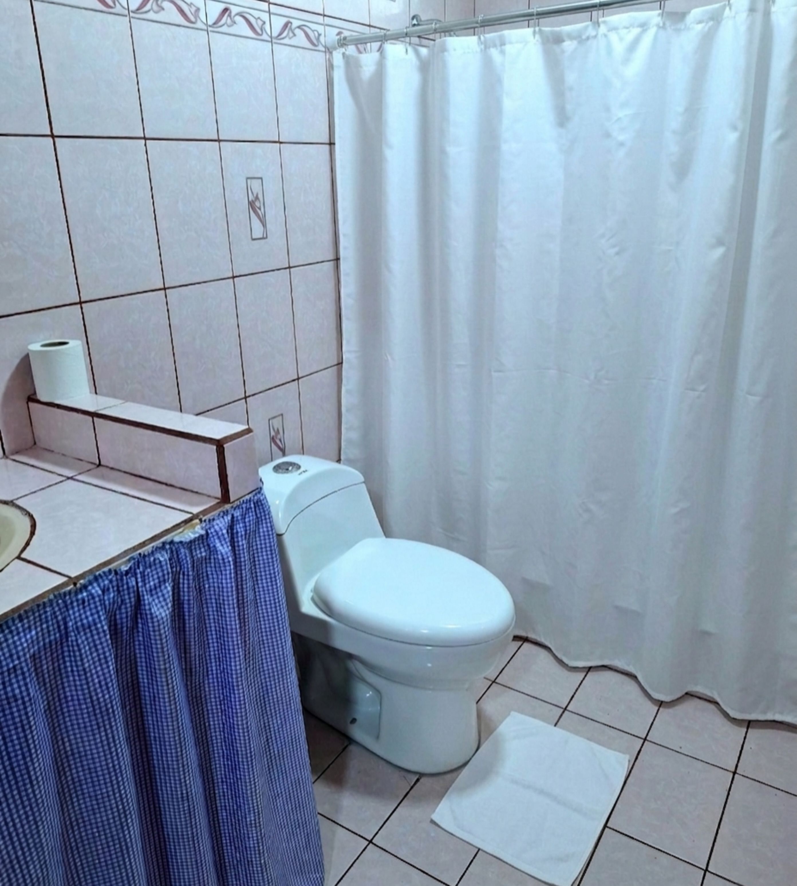 Une salle de bain comprenant des toilettes, un lavabo, un rouleau de papier toilette, un rideau de douche et un tapis sur le sol.